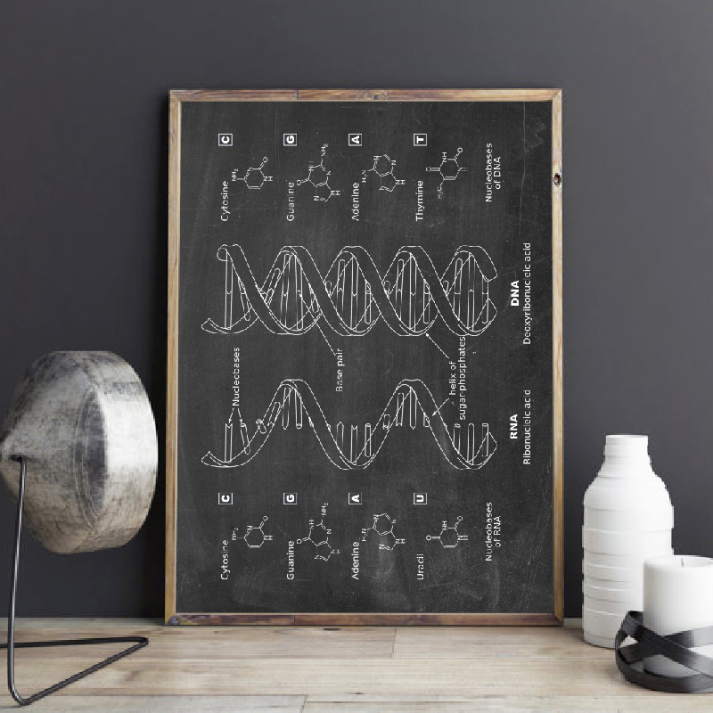 DNA Patent Wall Art Genetics P - огляд і ціна Star Map Poster